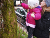 IMG_20230417_110617_1
